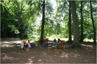 Wildes Feuer Wildes Feuer