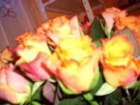 Geburtstagsrosen